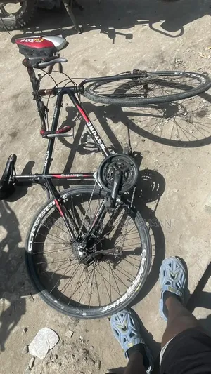 Spino Mz-C30