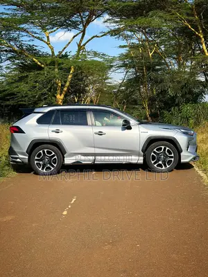 Toyota RAV4 Hybrid 2019 Silver