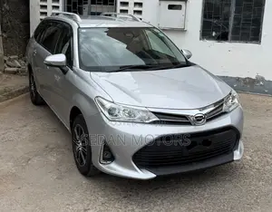 Toyota Corolla Fielder 2019 Silver