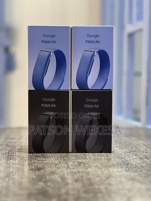 Google Fitbit Air