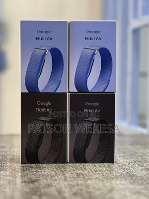 Google Fitbit Air