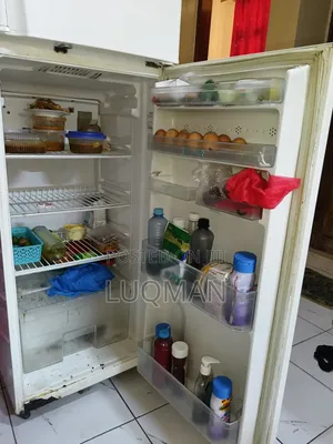 Double Door Fridge