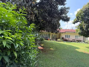 4bdrm House in Raphta Road Area for rent