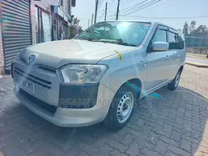 Toyota Probox 1.5 Hybrid DX 2019 Silver
