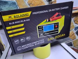 Bolaimei BLM-866C Automatic 12V 24V Battery Charger