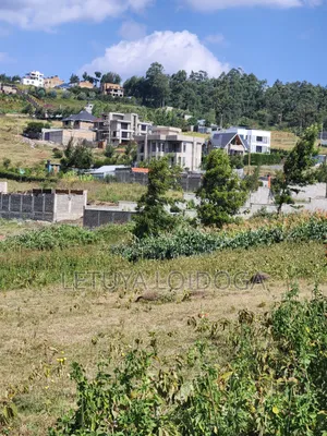 1⁄8 Acre Plots Ngong-Kibiko(windyridge)