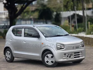 Suzuki Alto 2019 Silver
