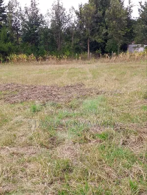 Half Acrea Nanyuki Kwa Huku