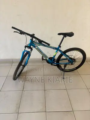 Blue Caraiman Mountain Bike – 26"
