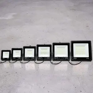 Flicker-Free Reliable 300W,100W,50W,30W AC Electric LED Flood Light