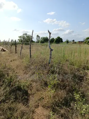 Urgent Sell 50 Acres