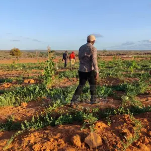 5 Acres Block at Malindi