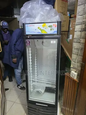 Smart Pro 280L SVS-350 Upright Showcase Display Refrigerator
