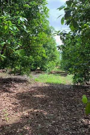 Prime Land