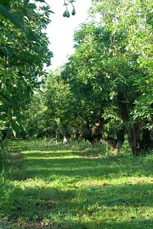 Prime Land