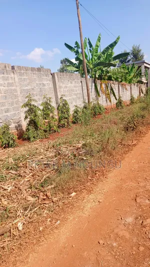 Ruiru Mugutha- Prime 1/2 Acre, Corner Plot Ideal for Home, Subdivision