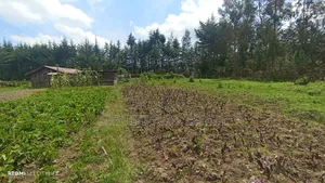Murungaru, Memo, 10 Acres of Agricultural Land