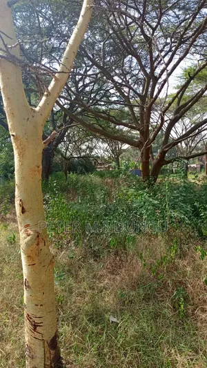 Garden Estate- 1/2 Acre Residential Plot