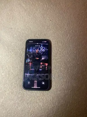 Apple iPhone 13 Pro Max 256 GB Gray