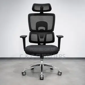 Imported Modern Orthopedic Staff Chair