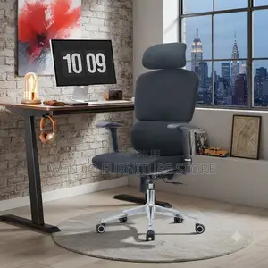 Office Cabinet; Orthopedic High Back Executive Modern Urban Chairs