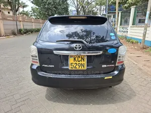 Toyota Corolla Fielder 2010 Matt Black