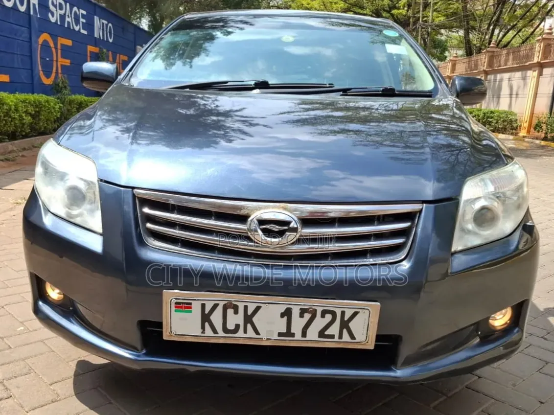 Toyota Axio 2009 Gray