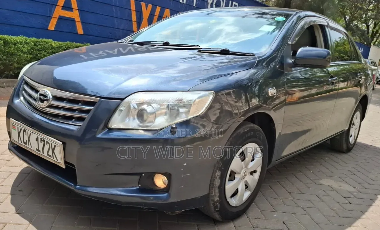 Toyota Axio 2009 Gray