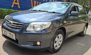 Toyota Axio 2009 Gray