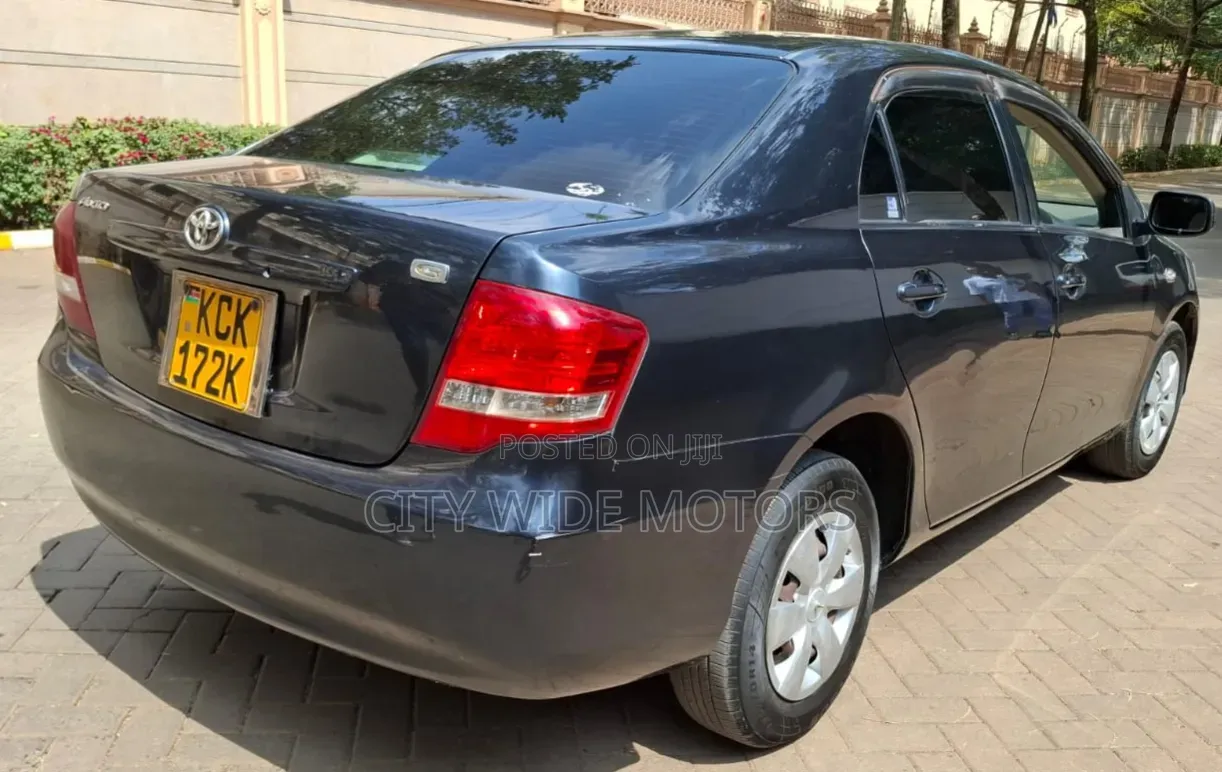 Toyota Axio 2009 Gray