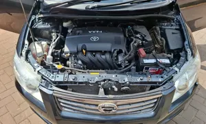 Toyota Axio 2009 Gray