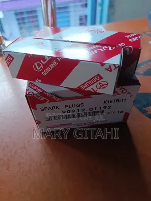 Spark Plugs for Probox