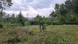 Prime 100 X 100 Plot for Sale: Olkeri