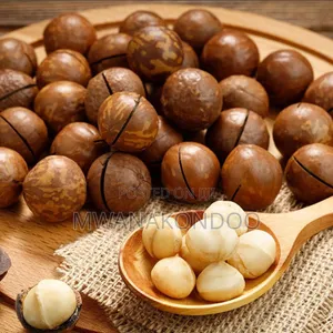 Macadamia Nuts