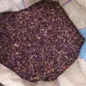 Beans for Sale