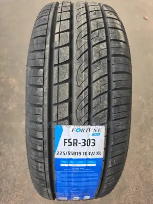 225 /55 R19 Fortune