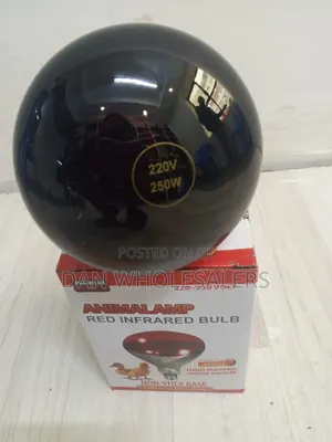 Chicken Bulb Energy Efficient Solution for Farms