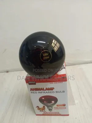 Chicken Bulb Premium Quality for Commercial Poultry Use