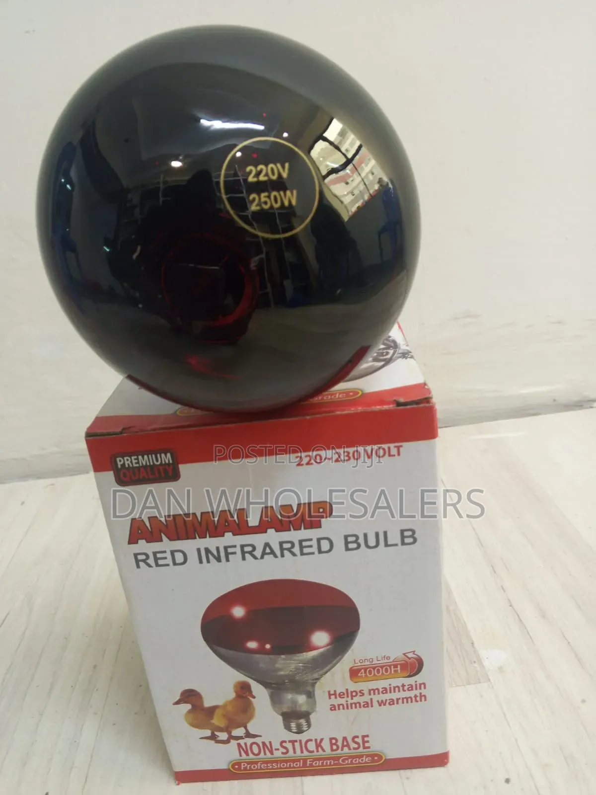 Chicken Bulb Maintain Optimal Brooder Temperature Always