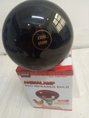Chicken Bulb Red Light for Stress Free Chick Growth