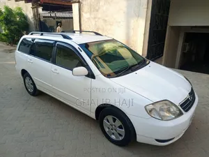 Toyota Corolla Fielder 2002 White