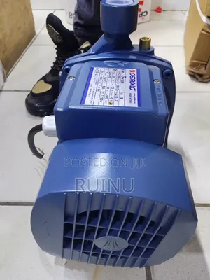 The Image Shows a Pedrollo CPm158 Single-Stage Centrifugal Water Pump