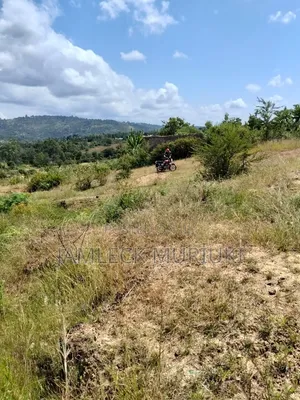 Plot for Sale