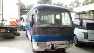 Mitsubishi Fuso Rosa 2013 Blue