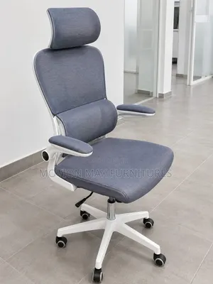 Office Ergonomic Plus Chair