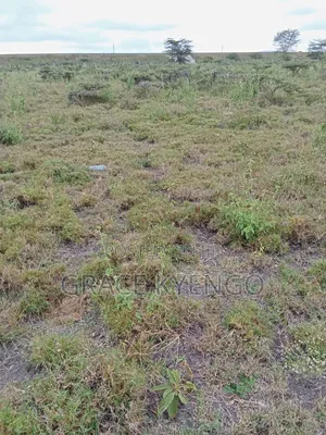 Plot of Land