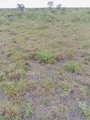 Plot of Land
