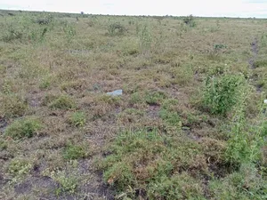 Plot of Land