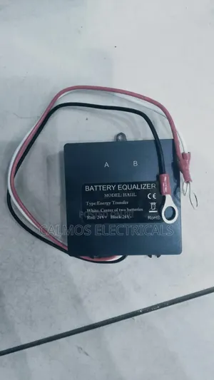 Battery Equalizer 24vts