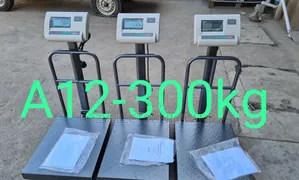 A12 Digital Weighing Scale